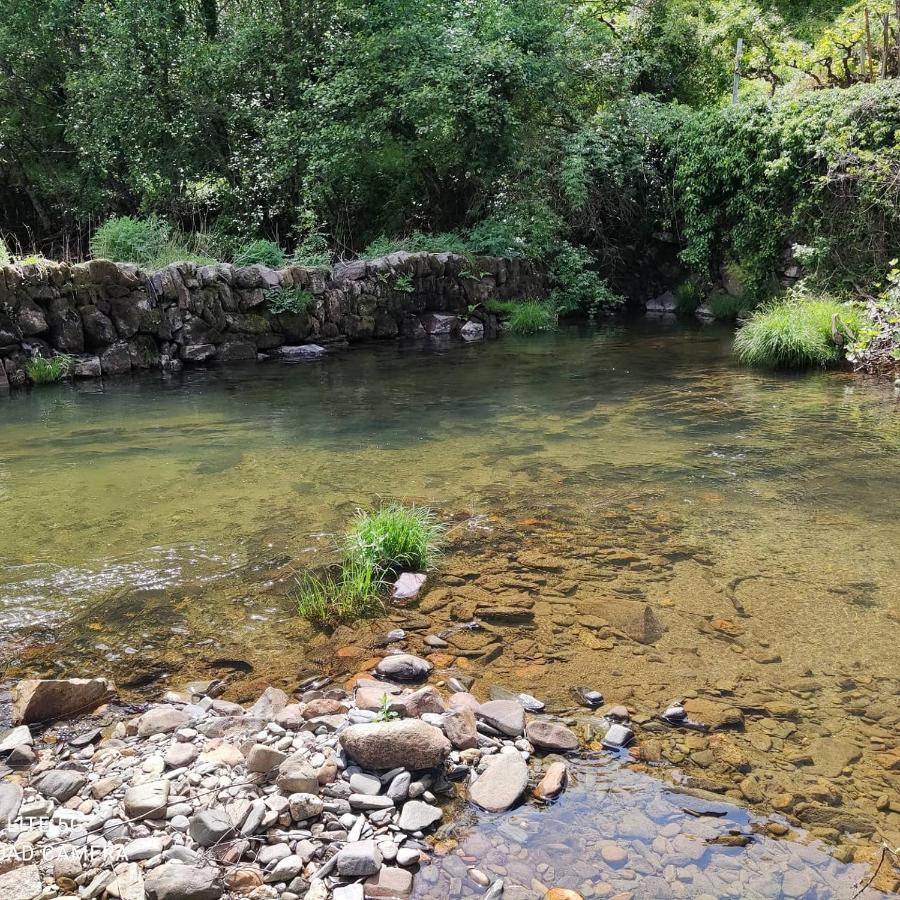 Pampihouse, Casa De Xisto Junto Ao Rio Pampilhosa da Serra Dış mekan fotoğraf