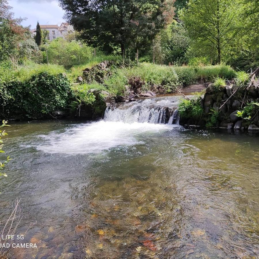 Pampihouse, Luxury Rustic House Near River Pampilhosa da Serra Dış mekan fotoğraf