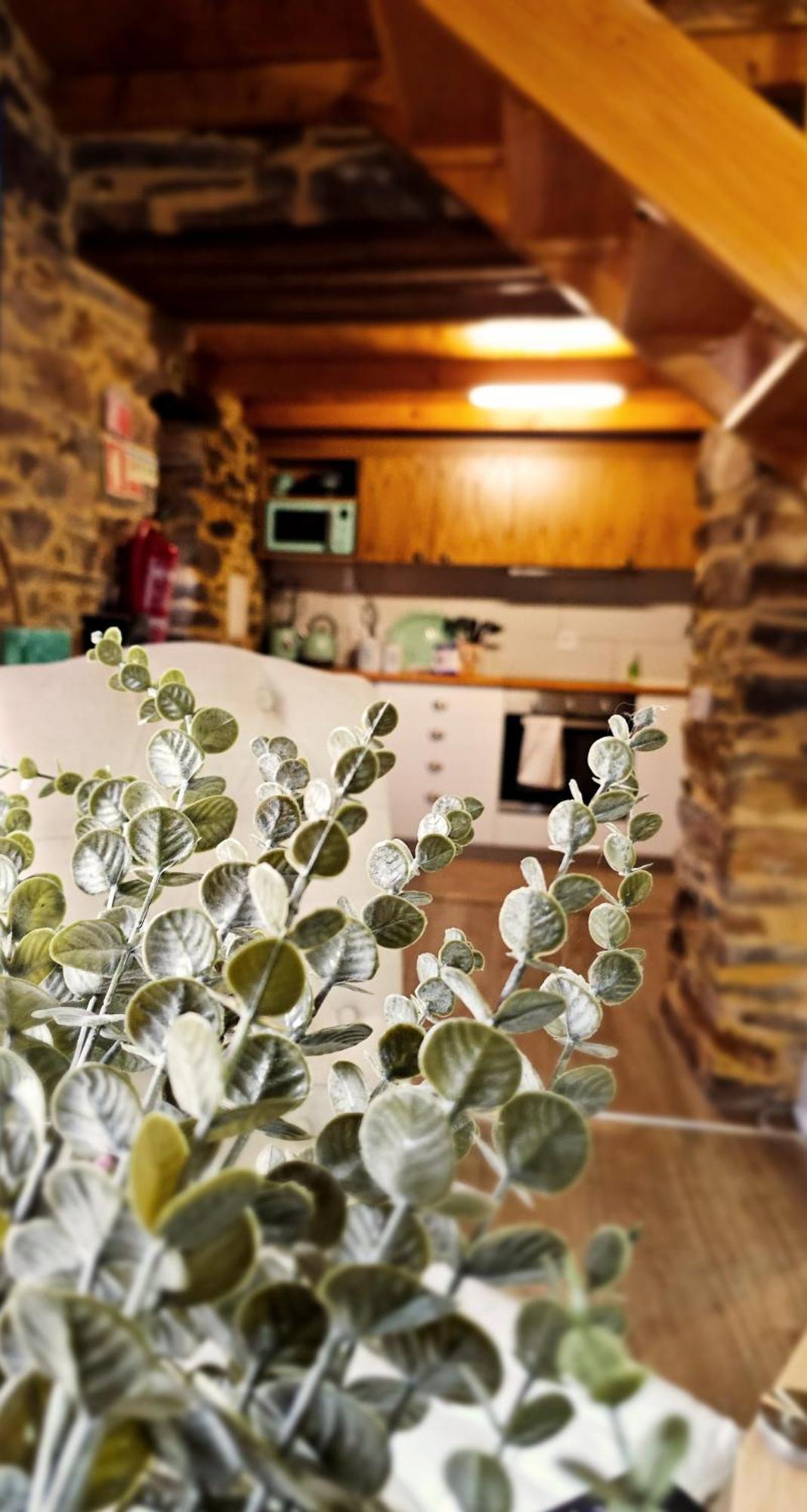 Pampihouse, Luxury Rustic House Near River Pampilhosa da Serra Dış mekan fotoğraf